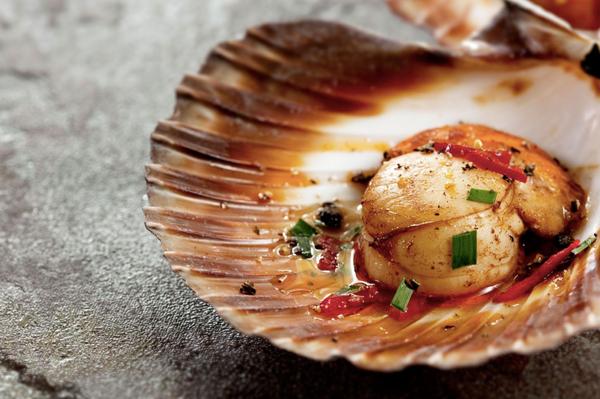 7. Delight Your Palate with Scallops: Discovering Their Distinctive Flavor