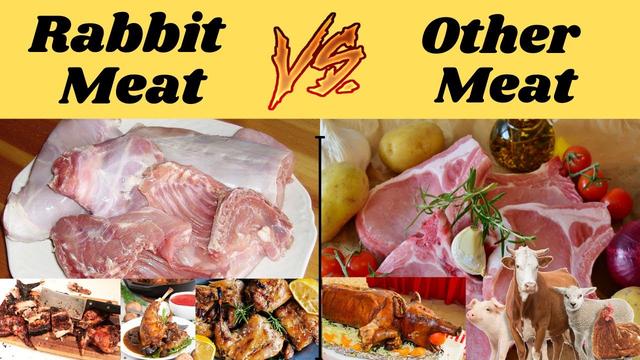 5. Rabbit Meat: Similarities and Differences in Taste Compared to Chicken