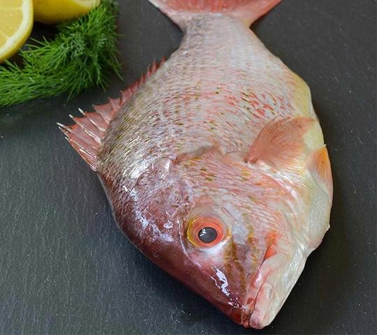 9. "The Versatile Tastes of Snapper: From Mild and Delicate to Robust and Savory"
