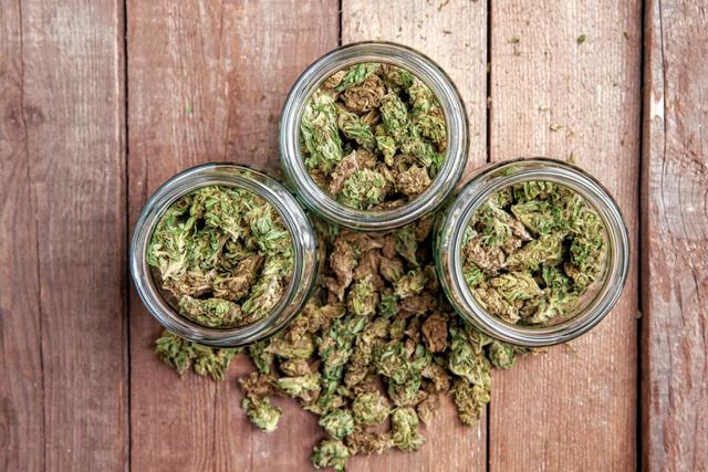 5. The Art of Tasting Weed: What to Expect from Different Cannabis Strains